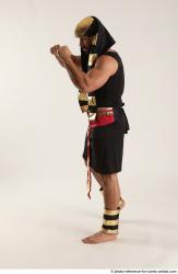 ATILLA EGYPTIAN FIGHTER